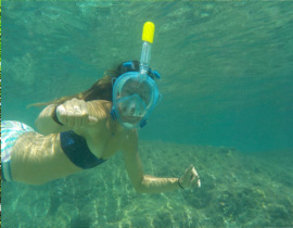 snorkeling in the clear water