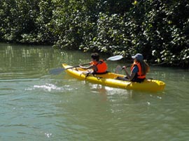 kayak rentals